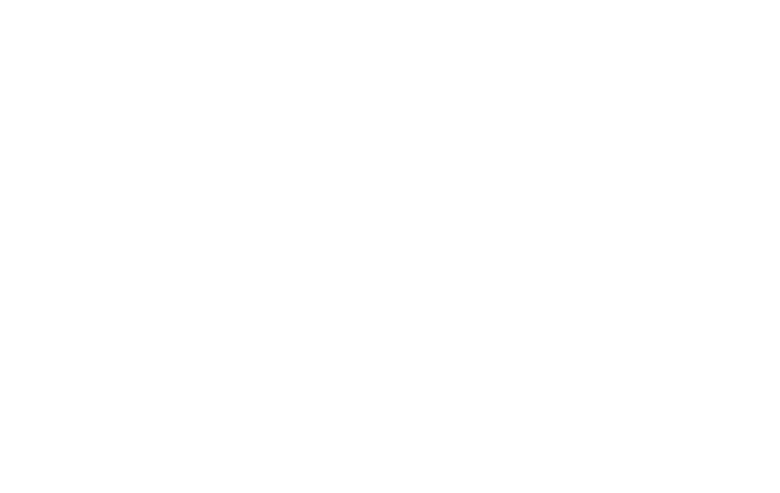 Lenzing-Logo