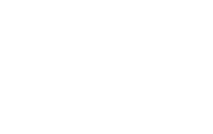 stranzinger-logo-blasy